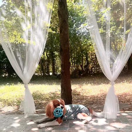 Rege 32 Vendeghaz بيت للعطل Szántód