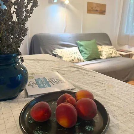 度假居 Rege 32 Vendeghaz Szántód